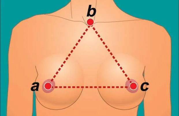 Самые интересные научные факты о женской груди
