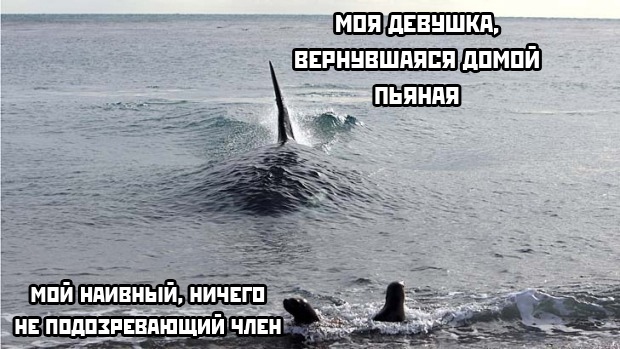 Весёлый полтишок 16.03