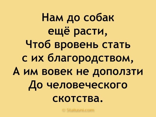 А мы для них - и есть вся жизнь