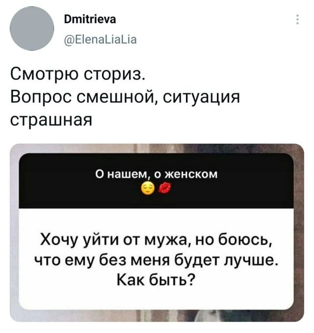 "Купил коту игрушку" и другие картинки