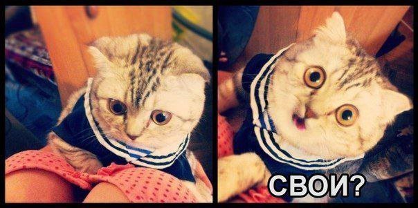 Ну, понеслась!