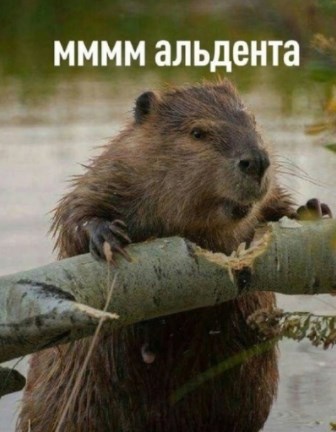 Ничего необычного, просто бобёр осматривает место под строительство плотины в парке Яуза