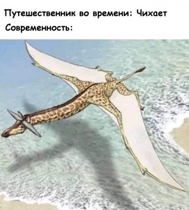 Картинки и мемы для настроения - 23