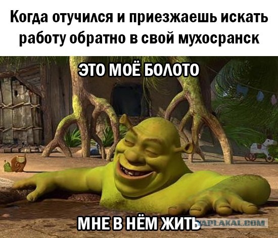 Мемчики. Опишите одним мемом, как дела, что на душе?