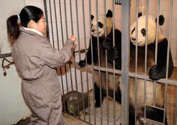 Фотоподпорка мирного времени