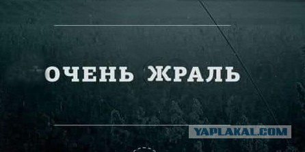 Отряд быстрого деградирования