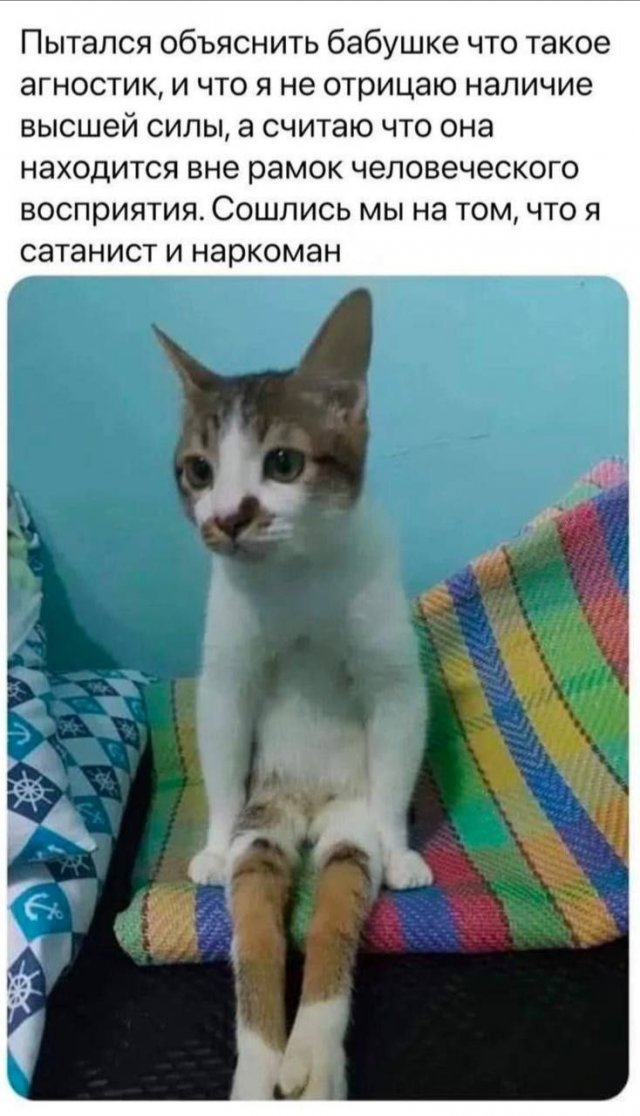 Тлидцать тли от 8 февраля