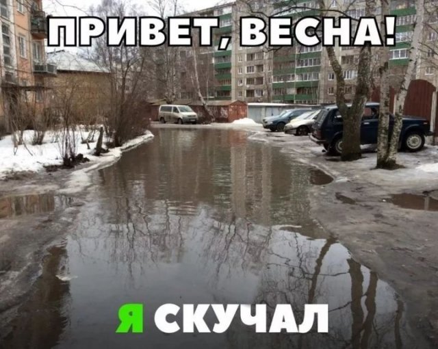 Прикольные и просто красивые картинки 01.03.2024
