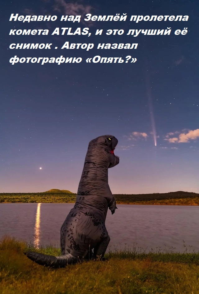 Весёлый полтишок 01.11.24
