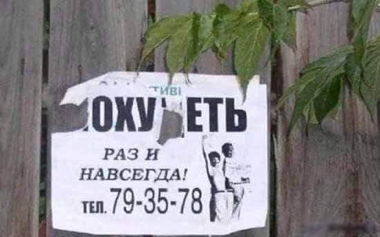 Так себе картинки 18.02.25