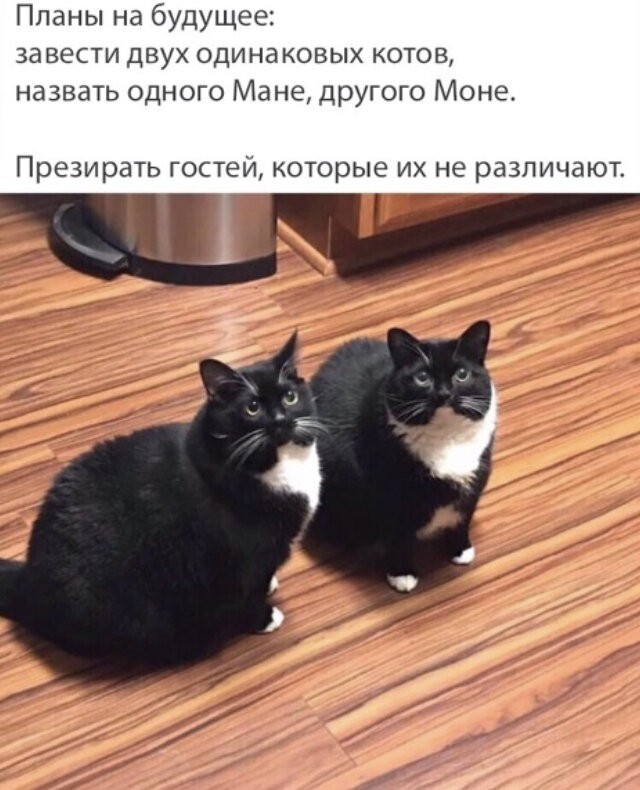 Опрос, который мы хотим видеть чаще!