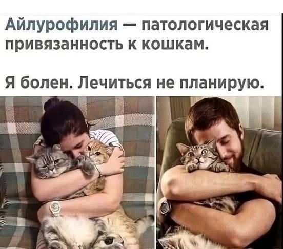 Картинки для деградации 74 (разной степени свежести)