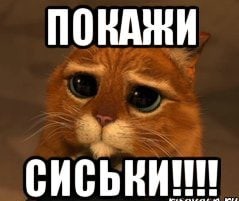 Я тебя еще не отпускала