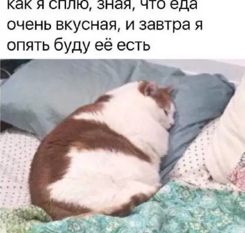 Картиночки, баянчики 25 февраля