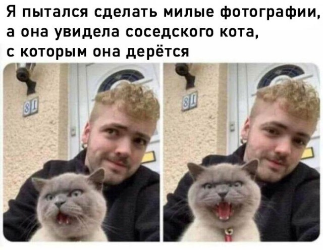 К котовторнику: подборка картинок-баянов с котиками и про котиков. Выпуск 44.
