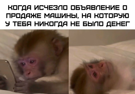 тРРРидцать тРРРи от 22 октября