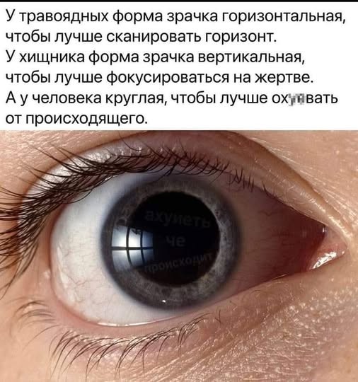Картинки на среду
