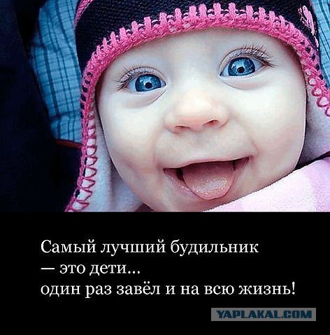 Веселая подборка