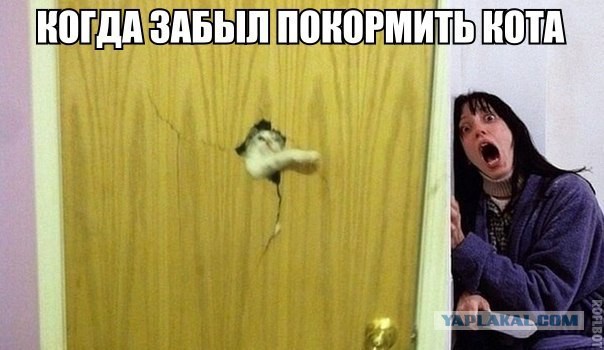 Пост смешных картинок