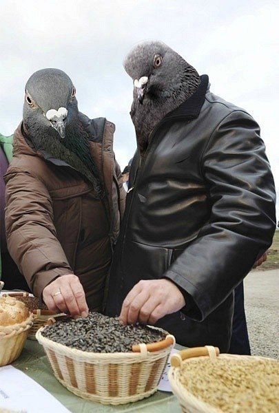Картинки + гифки.