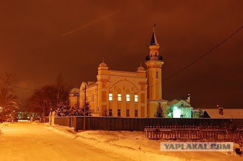 Глум над жертвами авиакатастрофы