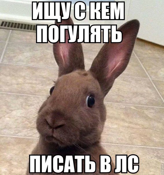 Разные картинки