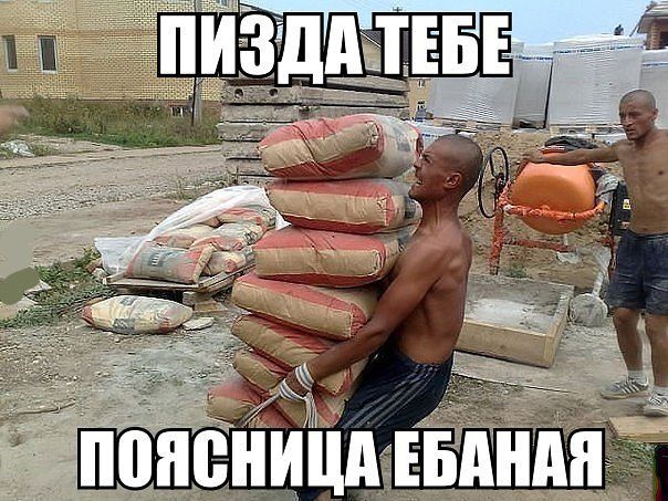 Весёлые картинки