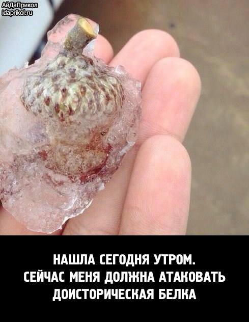 Интересные и веселые картинки