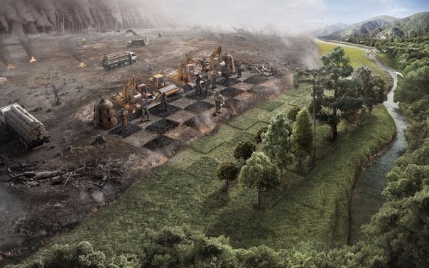 Подборка интересных и веселых картинок