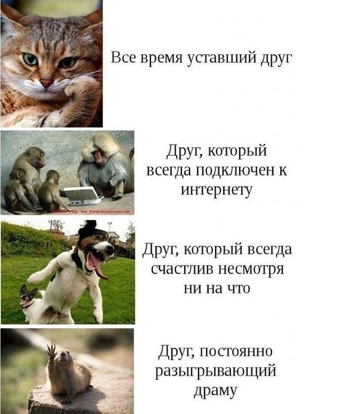 Интересные и веселые картинки