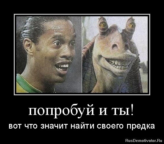 Один в один! 17 людей, животных и вещей, которые невероятно похожи друг на друга.