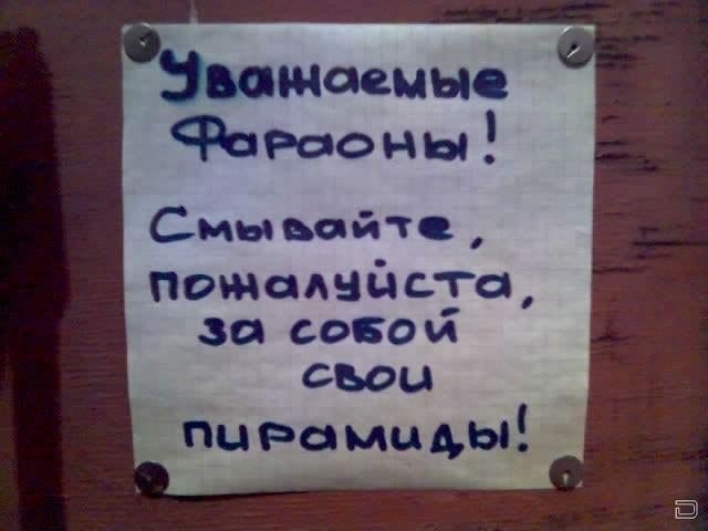 Картинки