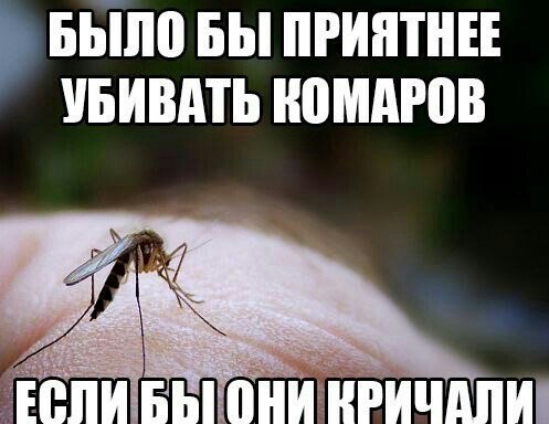 Очередная подборка школьной наркомании из соц.сетей