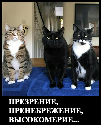 Картинки всякие для поднятия настроения!