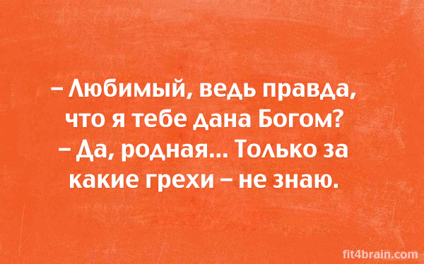 20 саркастичных открыток о жизни