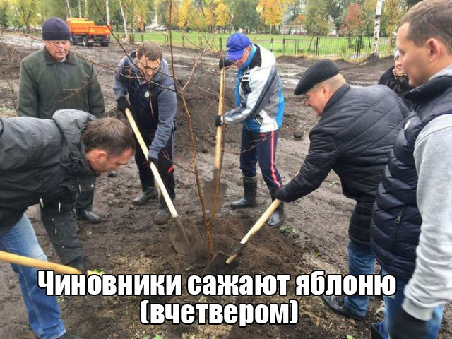 Подборка интересных и веселых картинок