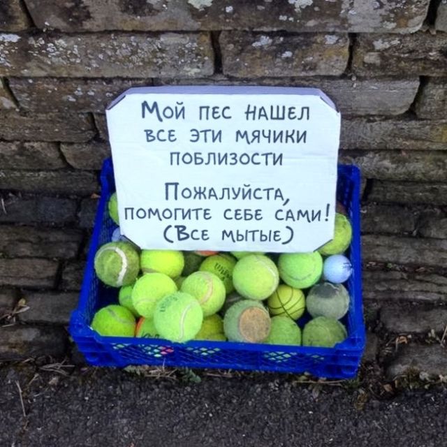 Подборка интересных и веселых картинок