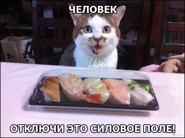 Нестандартный юмор