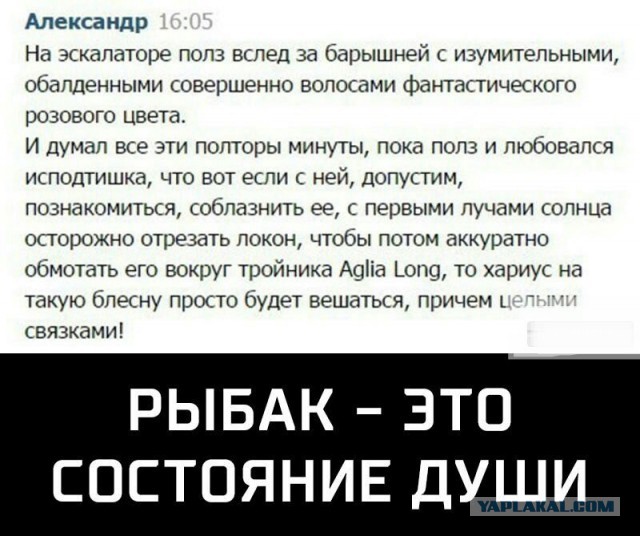 Текста в картинках вам