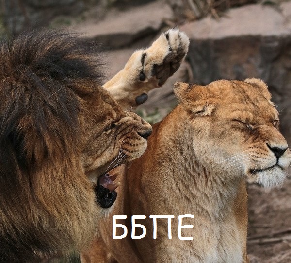 Вышибала "вежливо" успокоил кричащих девушек