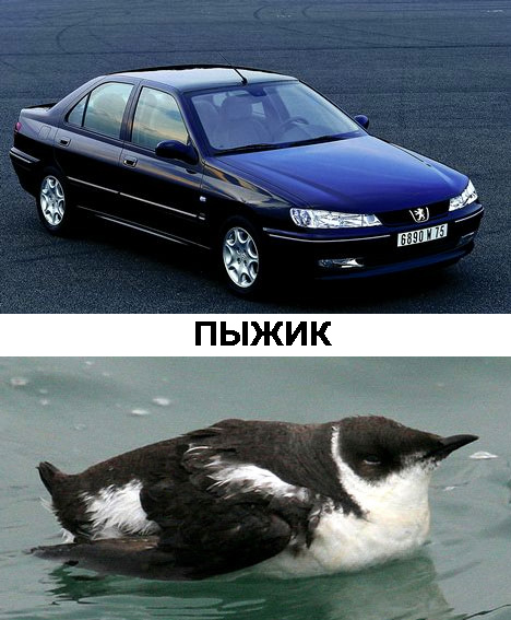 Клички у автомобилей