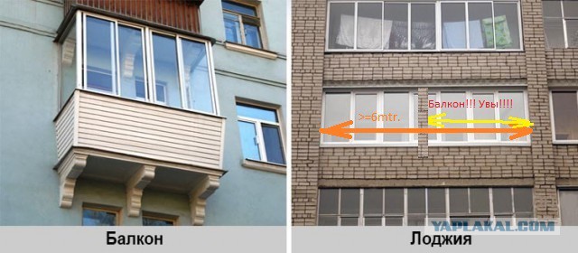 Где такие утки продаются, кто в курсе?