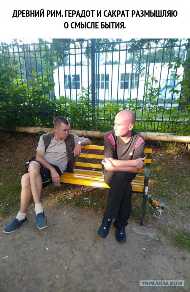 Немного картинок в эту пятницу