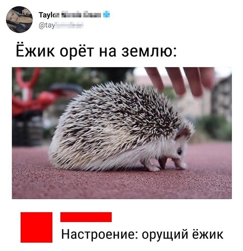 Подборка скринов  за неделю