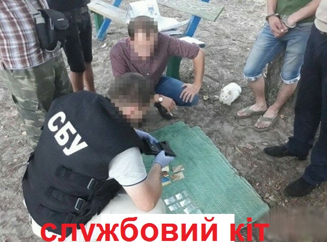 Немного картинок в эту среду