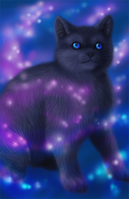 Котейкин вторник! Космический 12.04!