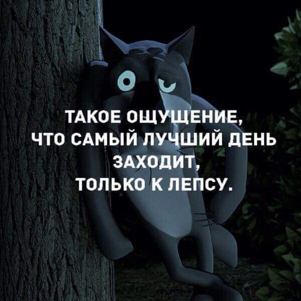 Подборка интересных и веселых картинок 19.04.19