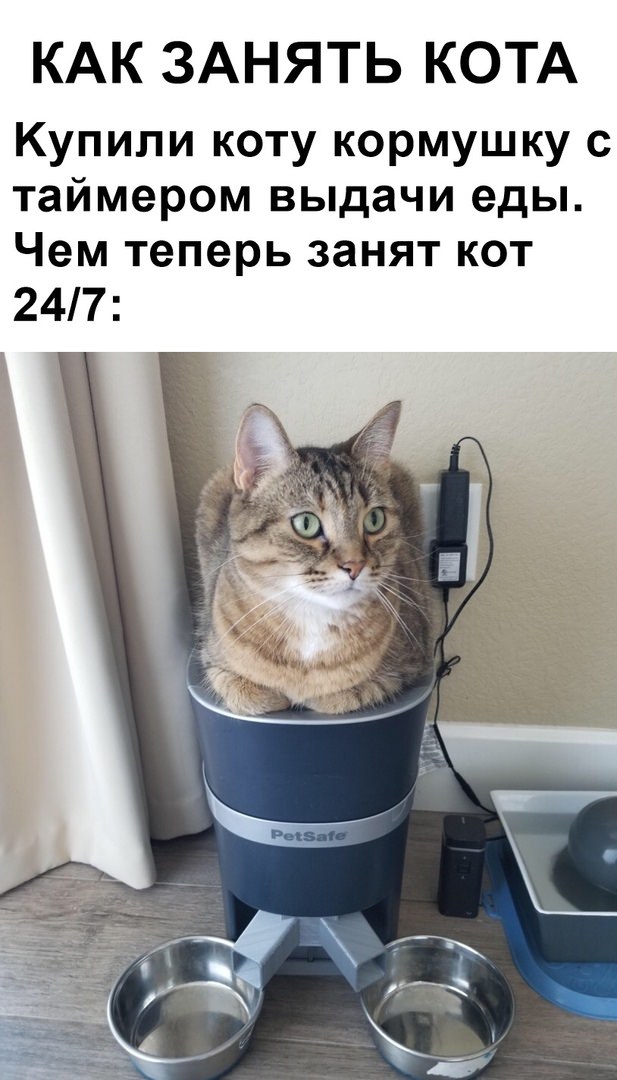 Немного картинок для настроения