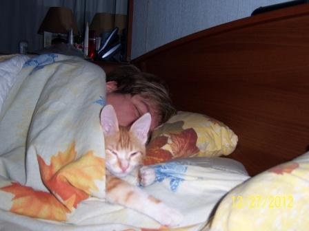 Медики объяснили, почему нельзя спать с кошкой