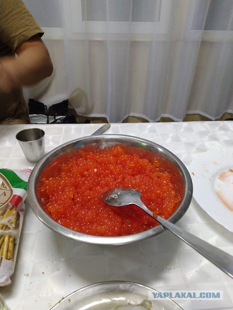 Камчатка, я вернулся, или как мы спали с ружьями